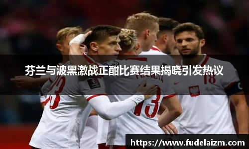 芬兰与波黑激战正酣比赛结果揭晓引发热议